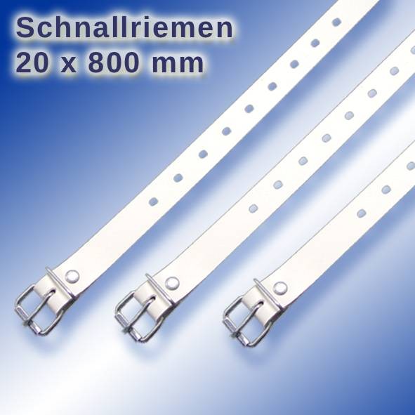 Schnallriemen_20_x_800_mm_1000_10_00200800.jpg