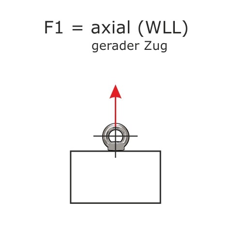 Ringschrauben_DIN_580_WLL_F1.jpg