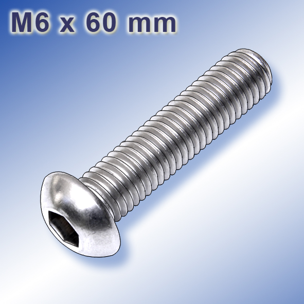 Flachrundkopfschrauben Innensechskant, Vollgewinde ISO 7380-1 A4-070 M6X50/50 (100 Stück Flachrundkopfschrauben Innensechskant, Vollgewinde ISO 7380-1 A4-070 M6X50/50 (100 Stück