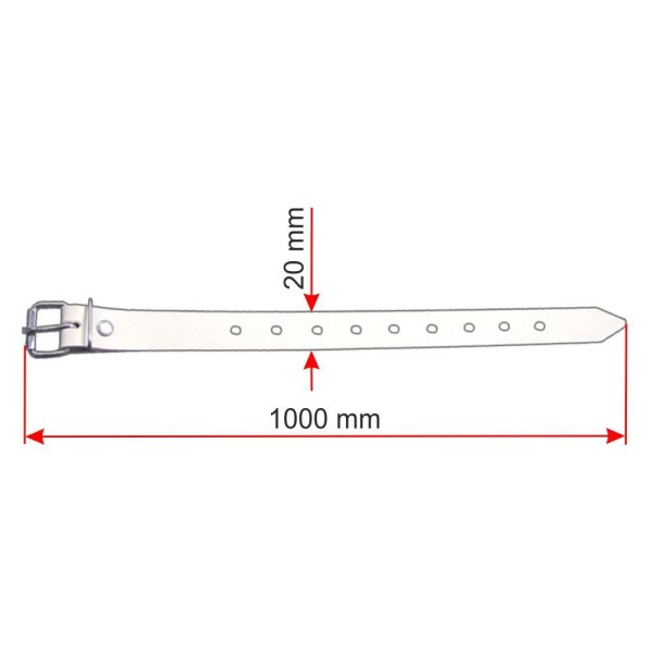 Schnallriemen_1000_10_1000_20_ab.jpg