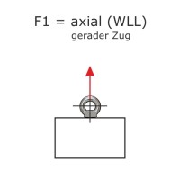 Vorschau: Ringschrauben_DIN_580_WLL_F1.jpg