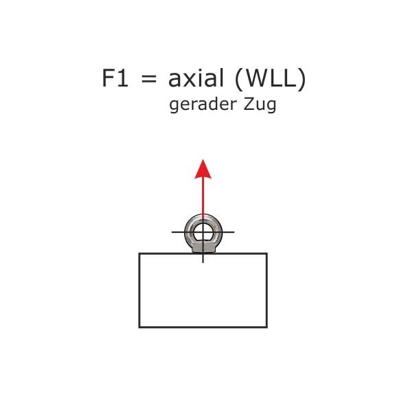Ringmutter_DIN_582_WLL_F1.jpg