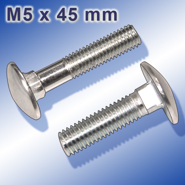 Schlossschraube_M5x45mm.jpg