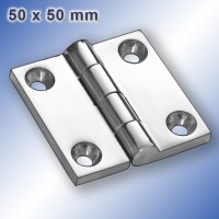 Vorschau: Scharnier_8105_4050_50.jpg