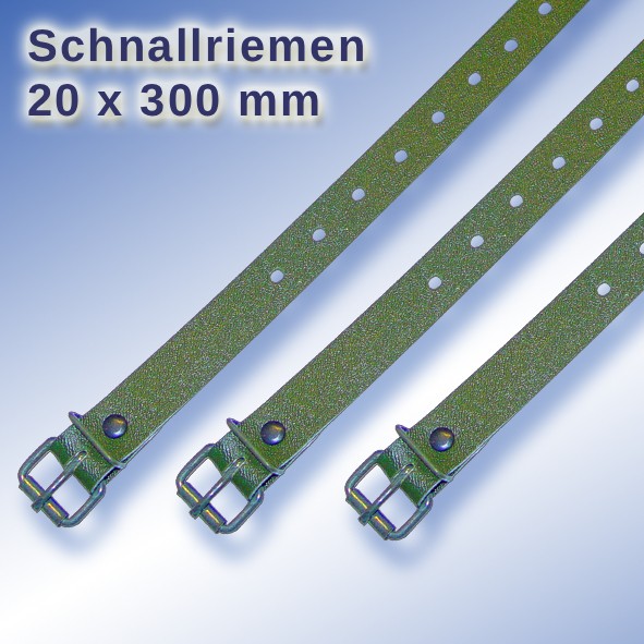 Schnallriemen_1000_66_00200300.jpg