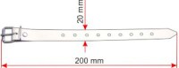 Vorschau: Schnallriemen_1000_10_200_20_ab.jpg