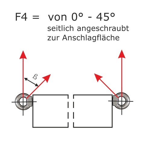 Ringschrauben_DIN_580_WLL_F4.jpg