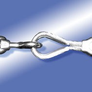 Vorschau: F_Kausche_Anwendung.jpg