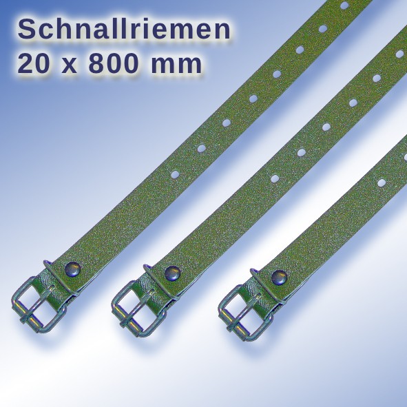 Schnallriemen_1000_66_00200800.jpg