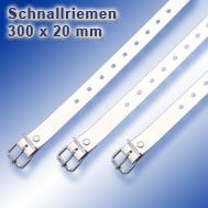 Schnallriemen_1000_10_300_20.jpg
