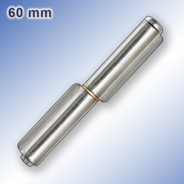 Anschweissscharnier_Edelstahl_8080_20_060_00.jpg